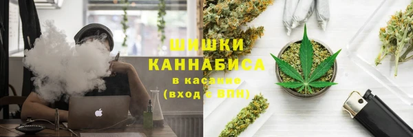 прущие грибы Козельск