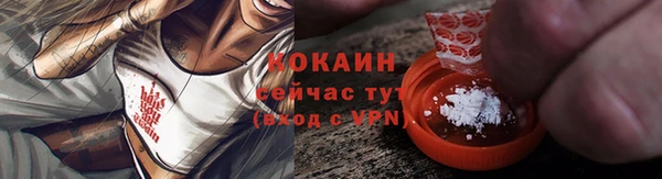 дживик Ступино