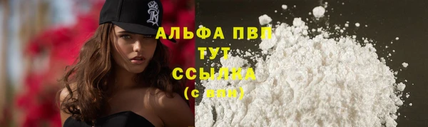 прущие грибы Козельск