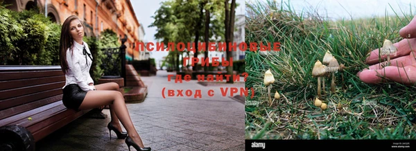 прущие грибы Козельск