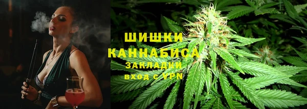 дживик Ступино
