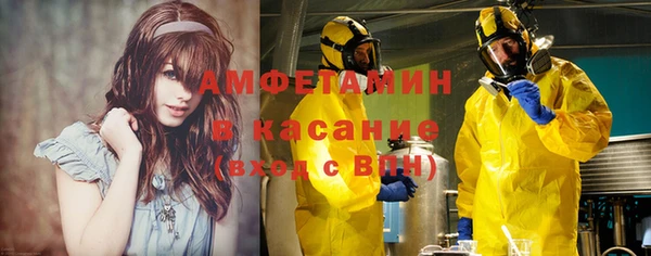 прущие грибы Козельск