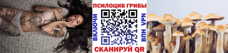 Псилоцибиновые грибы Psilocybe  цены   Ковров 
